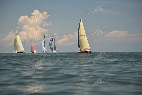 2018 Southern Bay Race Week C_1440
