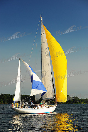 2015 Gov Cup D 228