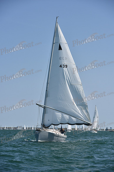 2019 Figawi_0451