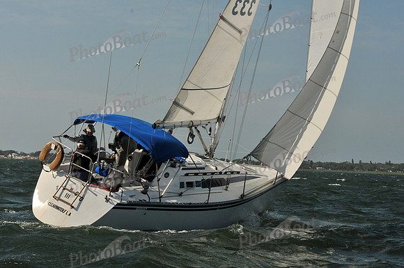 2012 Mar3 037