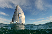 Arethusa
