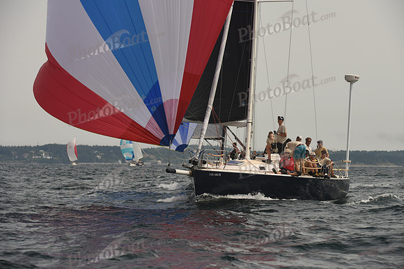 2016 Chester Race Week C_1454