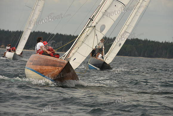 2016 Chester Race Week C_1085
