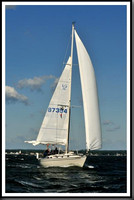 proof_2010_Vineyard_Race_0165