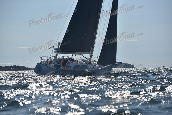 2021 Vineyard Race B 1914