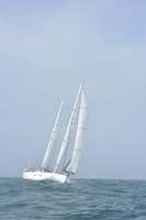 2022 Newport Bermuda_1864