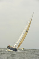 2015 Vineyard Race A 221