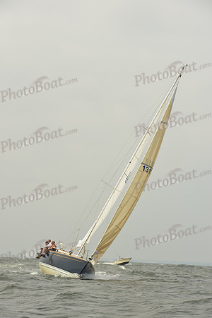 2015 Vineyard Race A 221