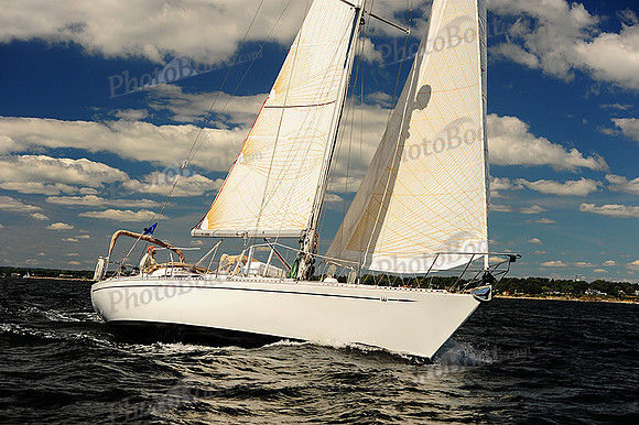 2014 Vineyard Race A 481