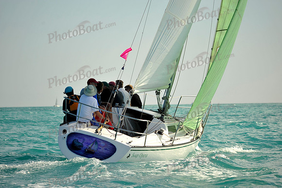 2010KeyWestRaceWeekD 227