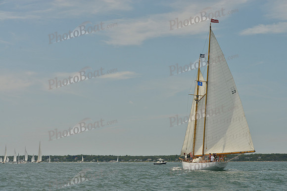 2018 Vineyard Cup B_0259
