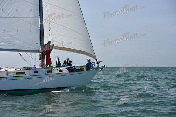 2019 Figawi_0244
