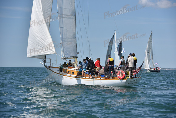 2019 Figawi_0739