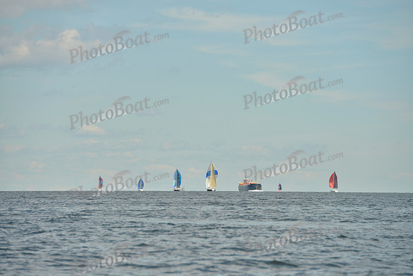 2016 Vineyard Race A_1196