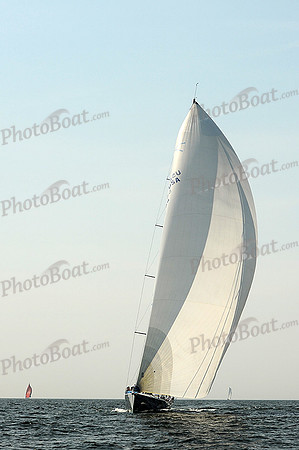 2013 Vineyard Race A 1678