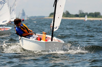 2011 Opti Area C 136