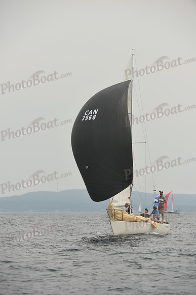2016 Chester Race Week D_0236