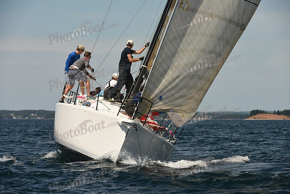 2016 Chester Race Week A_0049