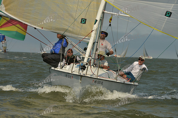2016 Southern Bay Race Week B_0648
