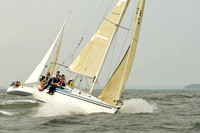 2015 Vineyard Race A 202