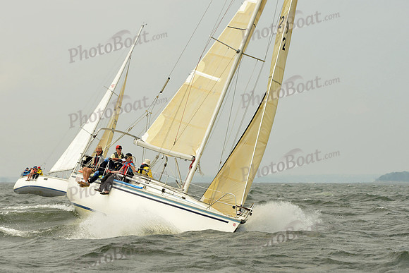 2015 Vineyard Race A 202