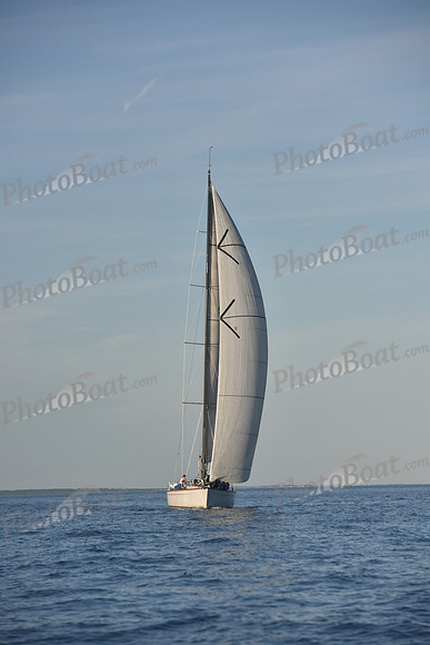 2019 Vineyard Race B_0419