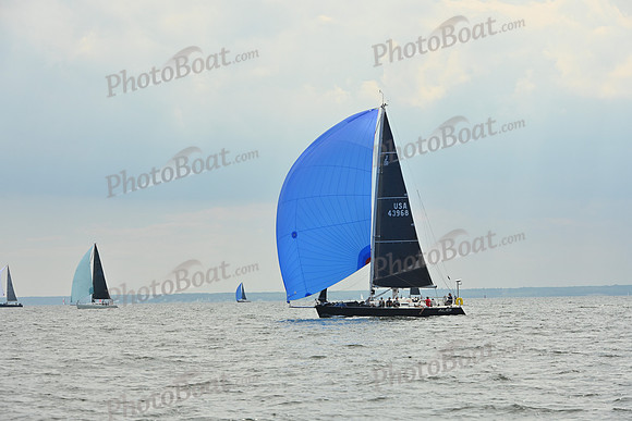 2025 Vineyard Race A_1277