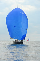 2025 Vineyard Race A_0979