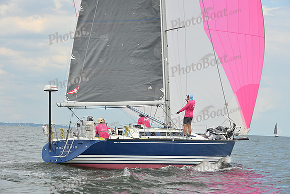 2025 Vineyard Race A_1247