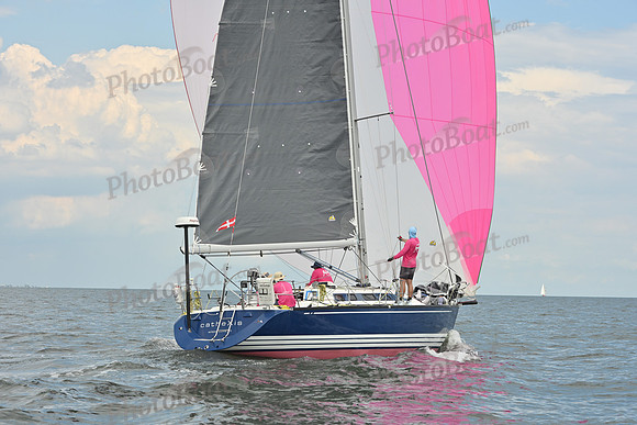 2025 Vineyard Race A_1249