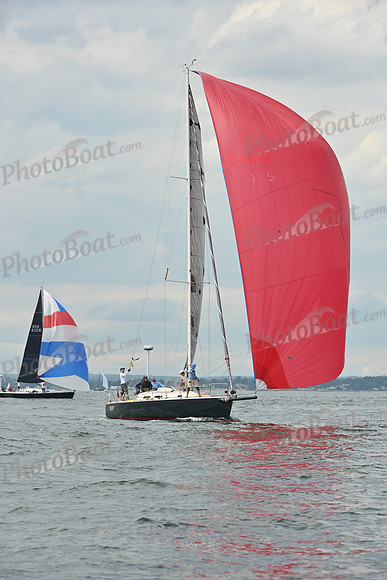 2025 Vineyard Race A_0892