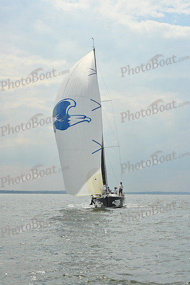 2025 Vineyard Race A_0866