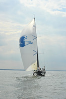 2025 Vineyard Race A_0867