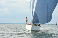 2025 Vineyard Race A_0657