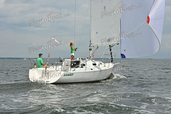 2025 Vineyard Race A_0249