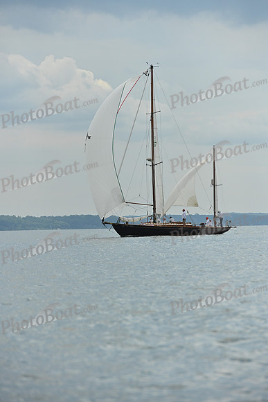 2025 Vineyard Race A_0038