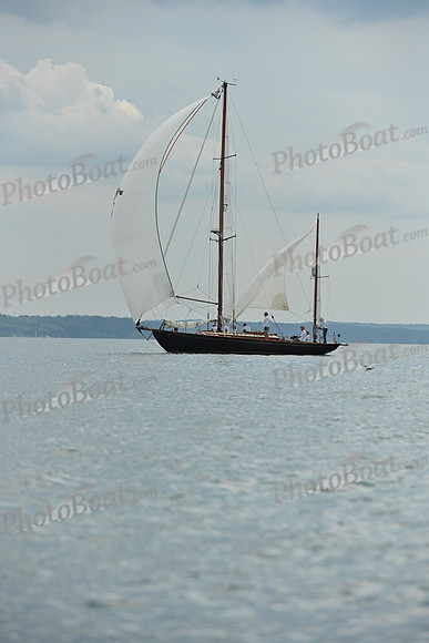 2025 Vineyard Race A_0037