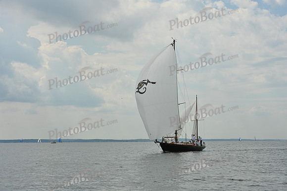 2025 Vineyard Race A_0042