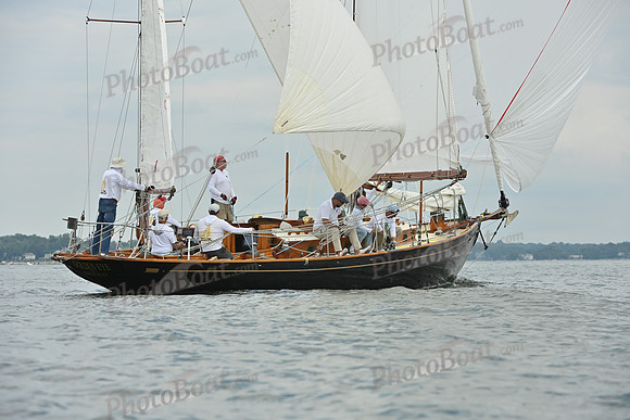 2025 Vineyard Race A_0056