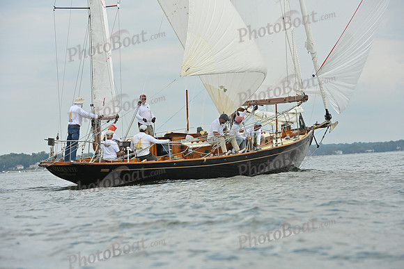 2025 Vineyard Race A_0055