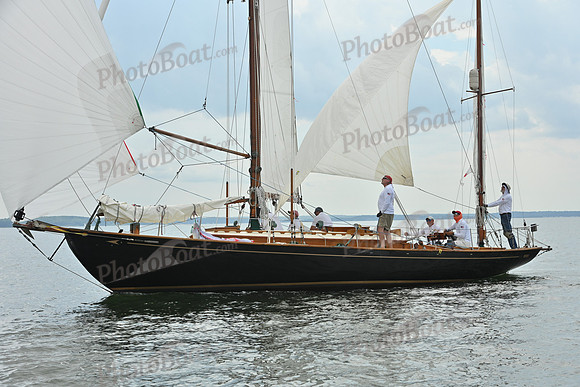 2025 Vineyard Race A_0046