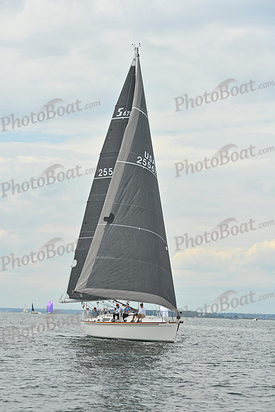 2025 Vineyard Race A_0075