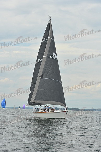 2025 Vineyard Race A_0073