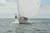 2025 Vineyard Race A_1434