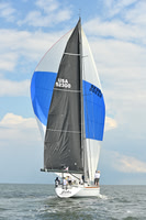 2025 Vineyard Race A_1445