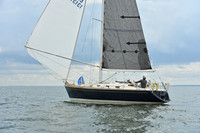 2025 Vineyard Race A_0349