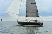2025 Vineyard Race A_0350