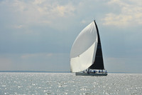 2025 Vineyard Race A_1466