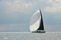 2025 Vineyard Race A_1467