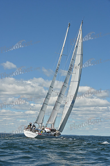 PHB_2631